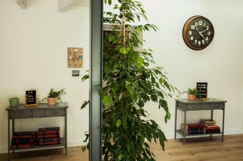 Bed & Breakfast Maison D'h�tes Les Escures