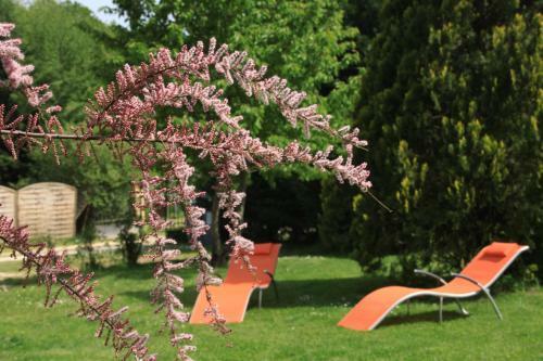 Bed & Breakfast La Maison Du Bonheur