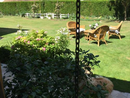 Bed & Breakfast Les Pr�mices de La For�t