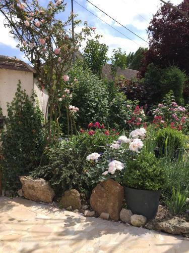 Bed & Breakfast Les Pr�mices de La For�t