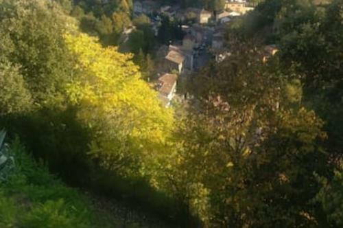 Bed & Breakfast La Maison Du Panetier