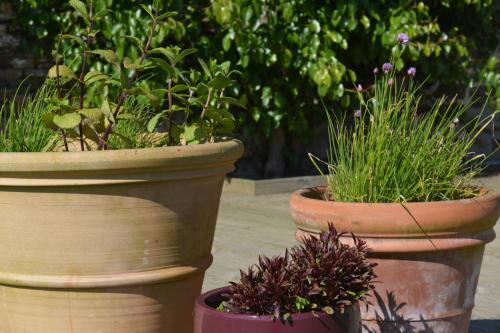 Bed & Breakfast Les Rochers