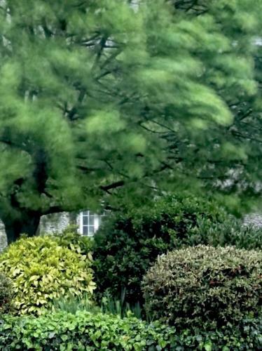Bed & Breakfast Les Rochers
