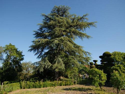 House G�te de La Touche 2