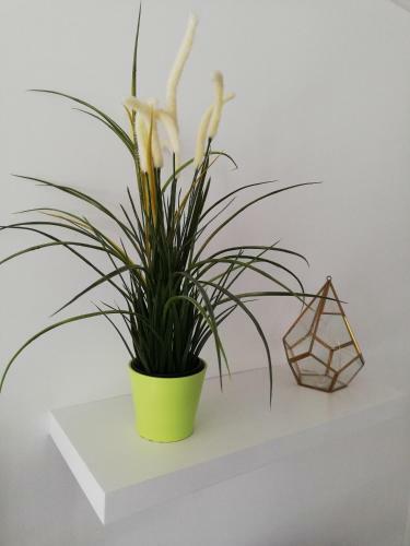 Apartamento Les Insolites de Champeix