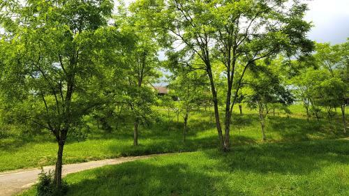 Hostal Domaine Des Rigaud