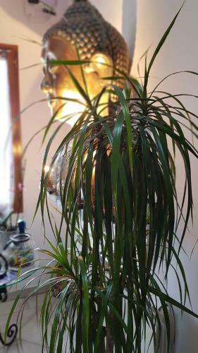 Hostal Domaine Des Rigaud