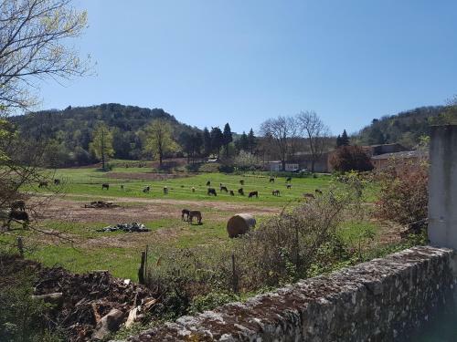 Domaine de Peyremale