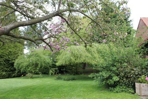 Bed & Breakfast Heure Bleue