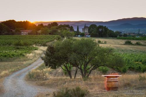 Bed & Breakfast Domaine de Pelican