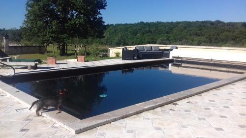 Bed & Breakfast La Faisanderie 16