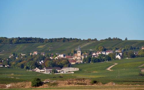 Bed & Breakfast Demeure Larmandier
