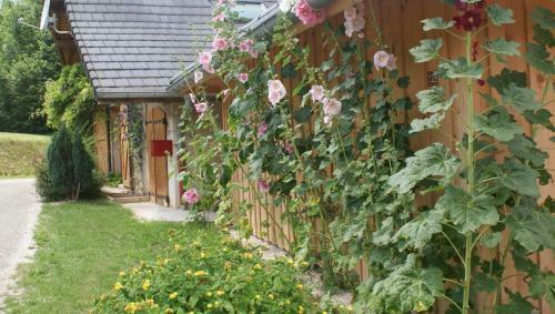 Hostal Ferme De La Cochette