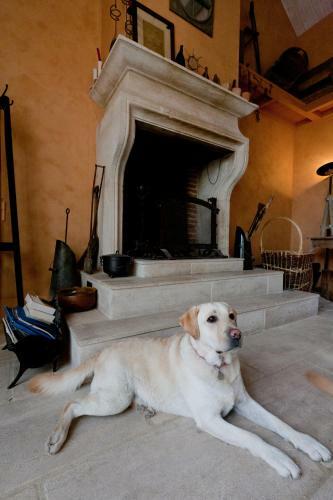 Bed & Breakfast Domaine de La Combotte
