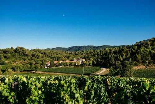 Domaine Calmel & Joseph