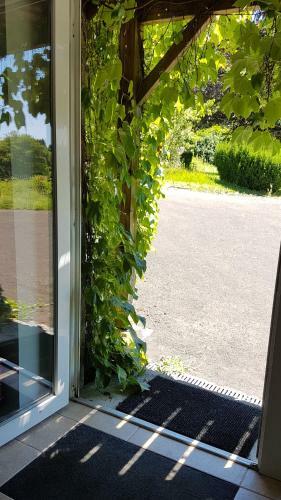 Bed & Breakfast Domaine Des P�cheries