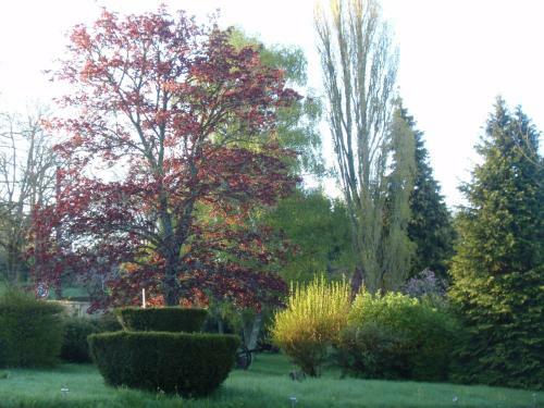 Bed & Breakfast Domaine Des P�cheries