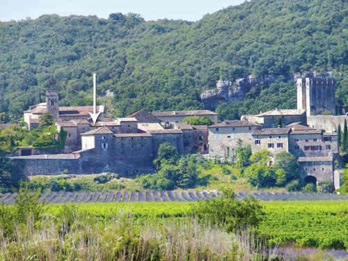 Cozy Holiday Home In Montclus With River Nearby