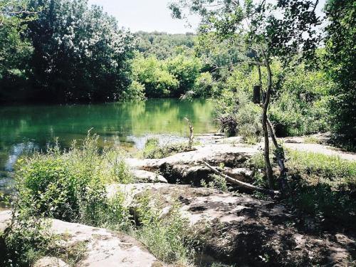Cozy Holiday Home In Montclus With River Nearby