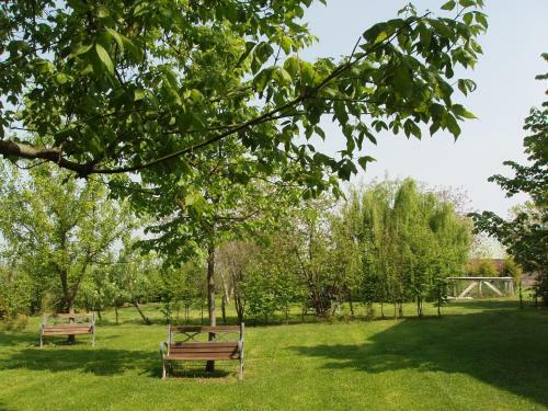 Agroturismo Agriturismo Torrazzetta