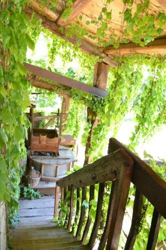 Agroturismo Agriturismo Torrazzetta
