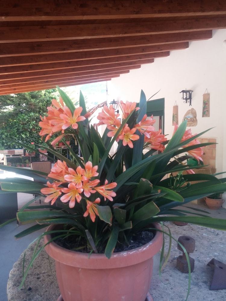 Bed & Breakfast La Regina Di Adrano