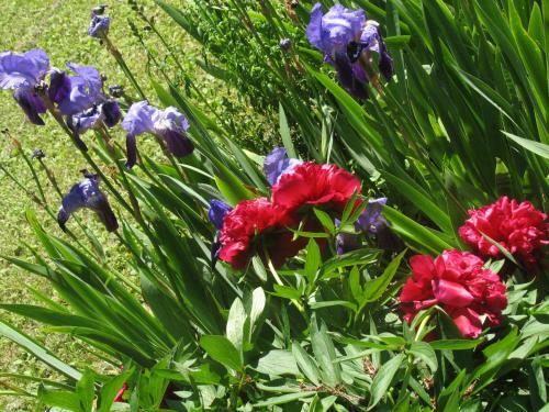 Bed & Breakfast Les Jardins de La Grange