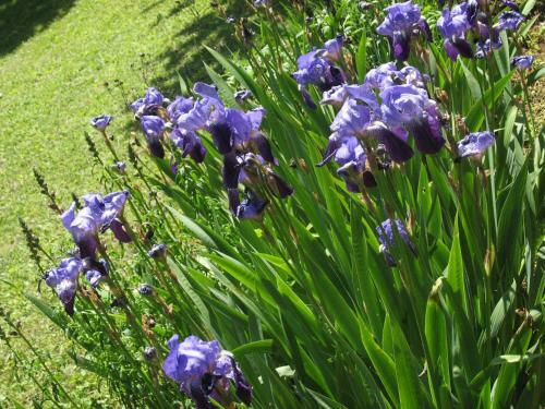 Bed & Breakfast Les Jardins de La Grange