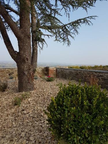 Bed & Breakfast Clos Sainte Catherine