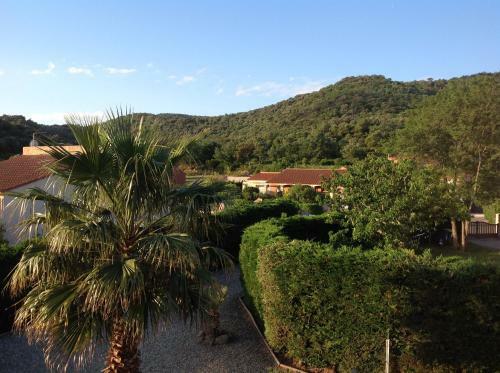 Villa Near Ceret With Private Pool, Sleeps 7