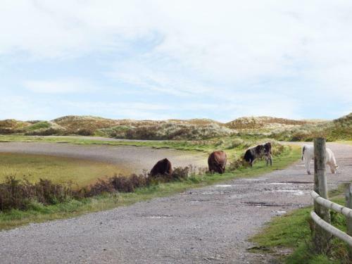 The Hide, Barrow-in-furness