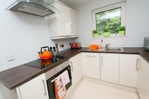 Apartamentos Rotter Court