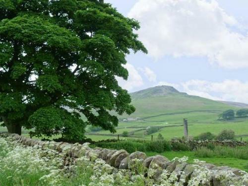 Pasture Cottage