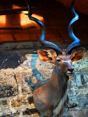 Hotel Knoydart Snugs (The Old Forge)