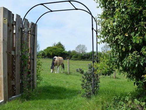 Kingshill Farm Studio