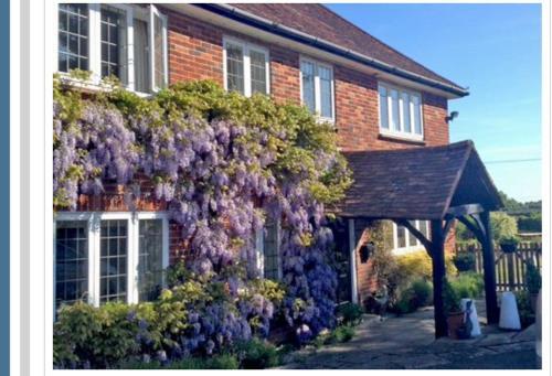 Bed & Breakfast Chadwell Hill Farm