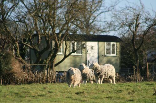Bed & Breakfast Chadwell Hill Farm