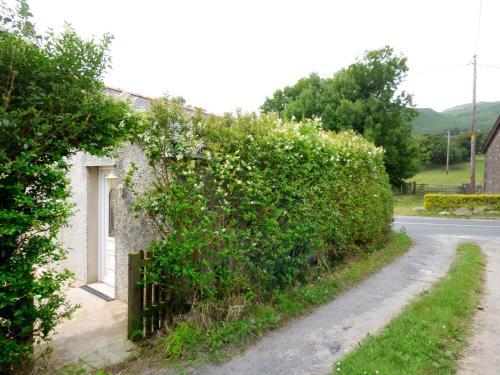 Hickory Cottage