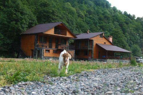Hotel Tourist Complex Khomi