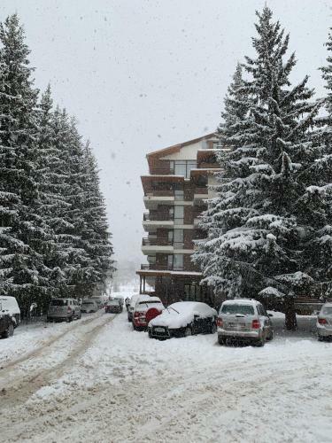 Cozy Studio Apartment In Bakuriani City