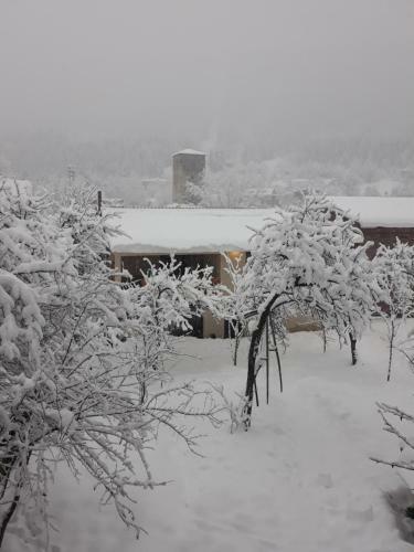 Hostal Irina's Guesthouse