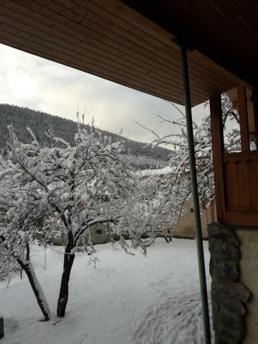 Hostal Irina's Guesthouse