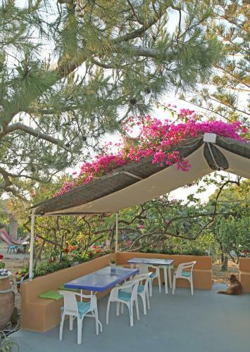 Apartamento L' Odyssee