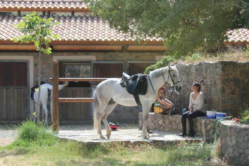 Country Hotel Velani