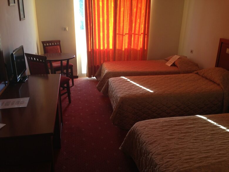 Hotel Arta Palace