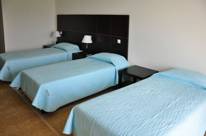 Hotel Arta Palace