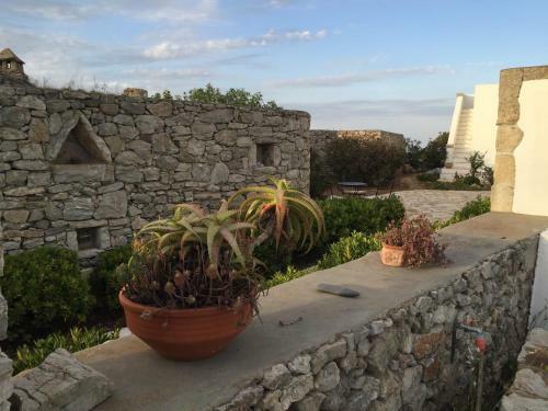 Hostal Villa Lemonia - Guest House