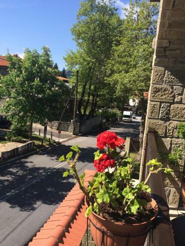 Hotel Archontiko Tsiboni