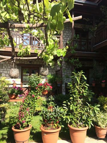 Hotel Archontiko Tsiboni