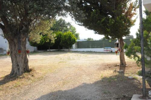 Rossa Studios